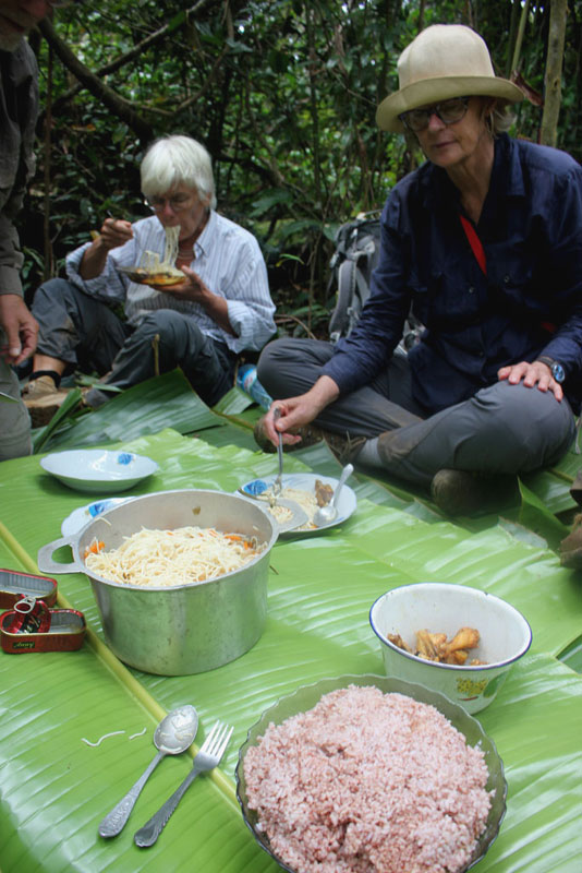 Picknick op Ravenala bladeren