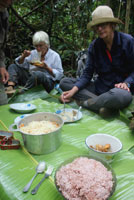 Picknick in het bos op ravenala bladeren