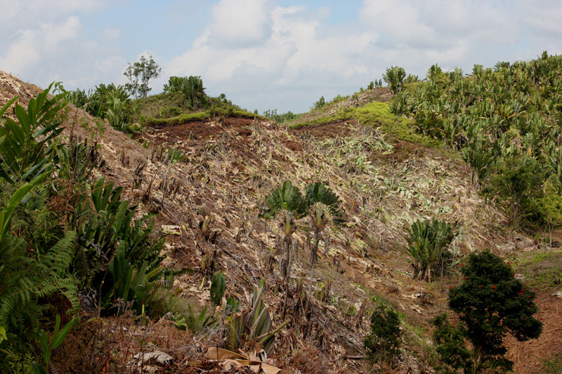 Verstoord landschap 1