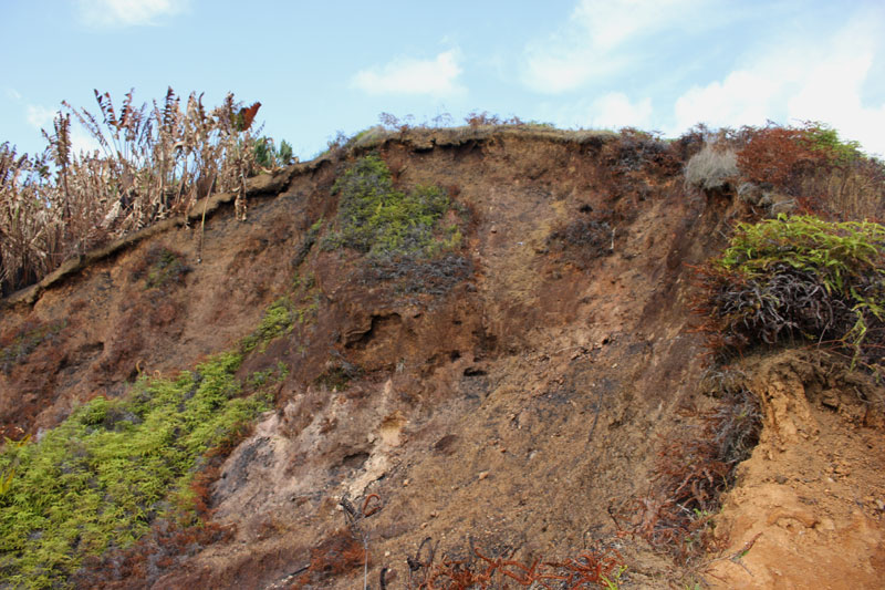 Verstoord landschap 3