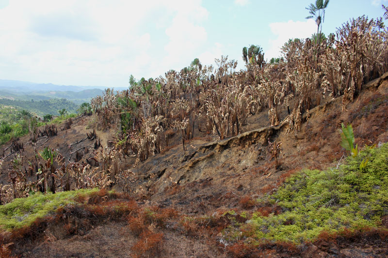 Verstoord landschap 4