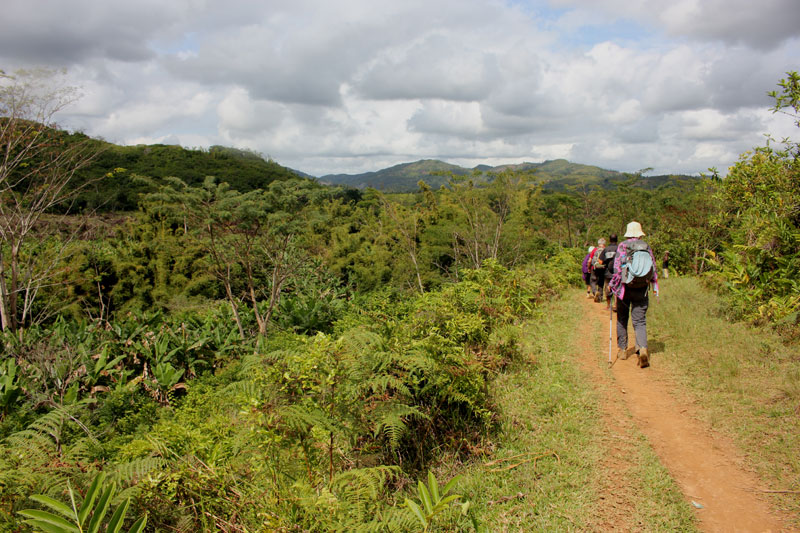 Wandeling over hoogvlakte