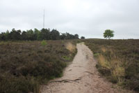 We lopen over de open heide van de Archemerberg