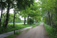 We volgen een weg met een apart fietspad