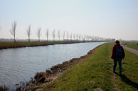 We volgen de grasdijk over de ringdijk van de Mijzerpolder