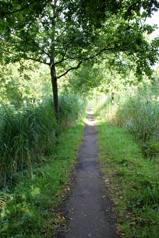 Impressie 1 van het Brediuspark