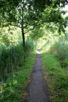 Imprerssie van de wandeling door het Brediuspad, 1