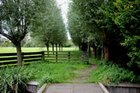 Impressie van de wandeling door het Brediuspark, 4