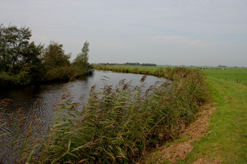 Impressie 1 van de wandeling over de Grechtkade