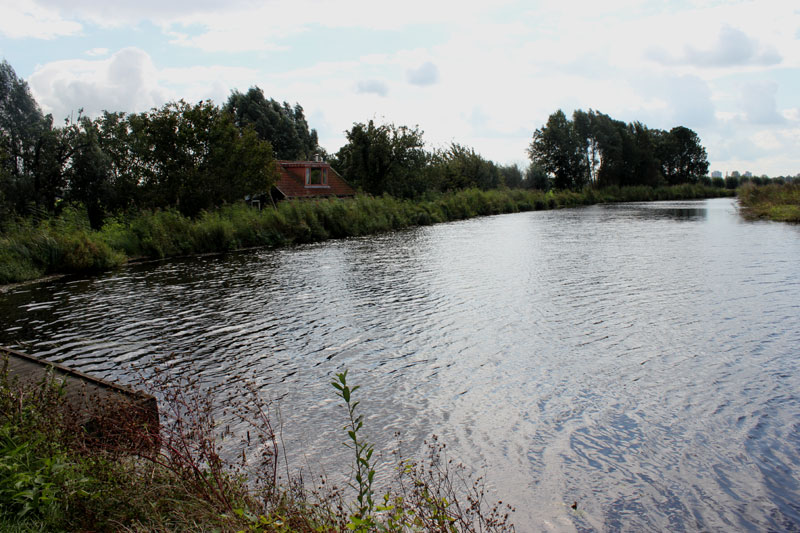 Impressie 6 van de wandeling over de Grechtkade