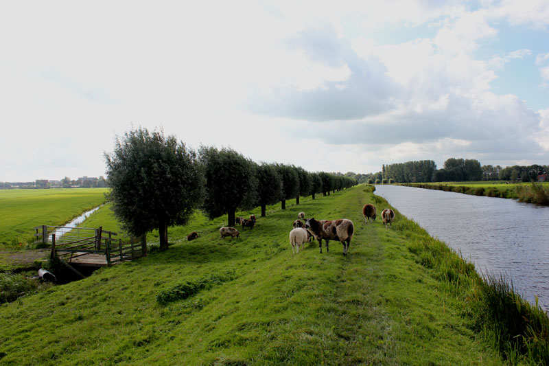 Impressie 8 van de wandeling over de Grechtkade