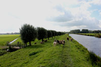 Impressie van de wandeling over de Grechtkade - 9