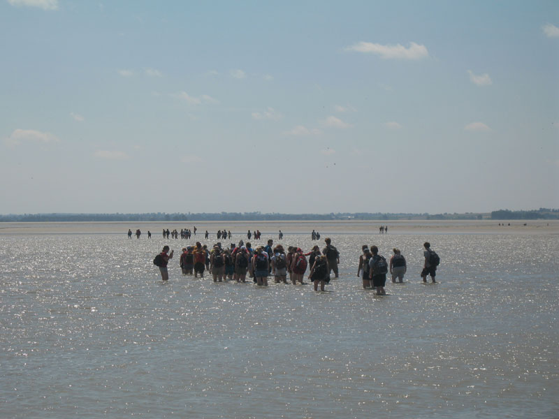 Foto 12 van de wadlooptocht in juli 2007