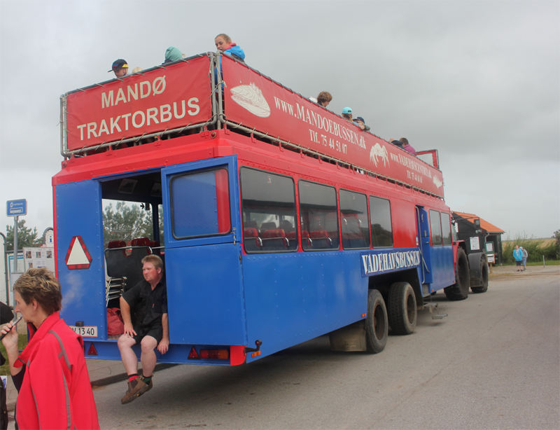 De mandobus 1