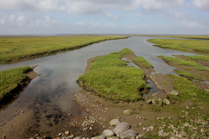 Terugtocht over dijk 1