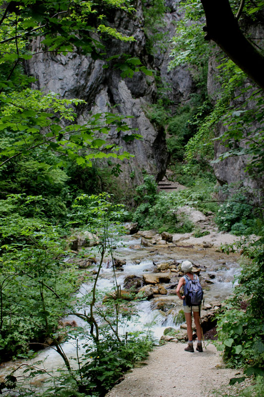 Wandeling door de  kloof 4 