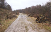 trambaan2.jpg (12786 bytes)